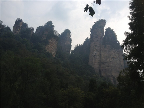 【尊享·天门】 长沙、韶山、天子山、袁家界、金鞭溪、天门山（玻璃栈道）、张家界大峡谷、凤凰古城双卧八日/双6日d