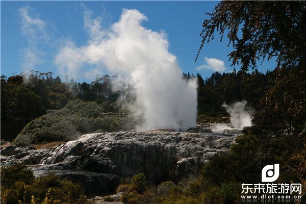 罗托鲁阿华卡雷瓦地热保护区